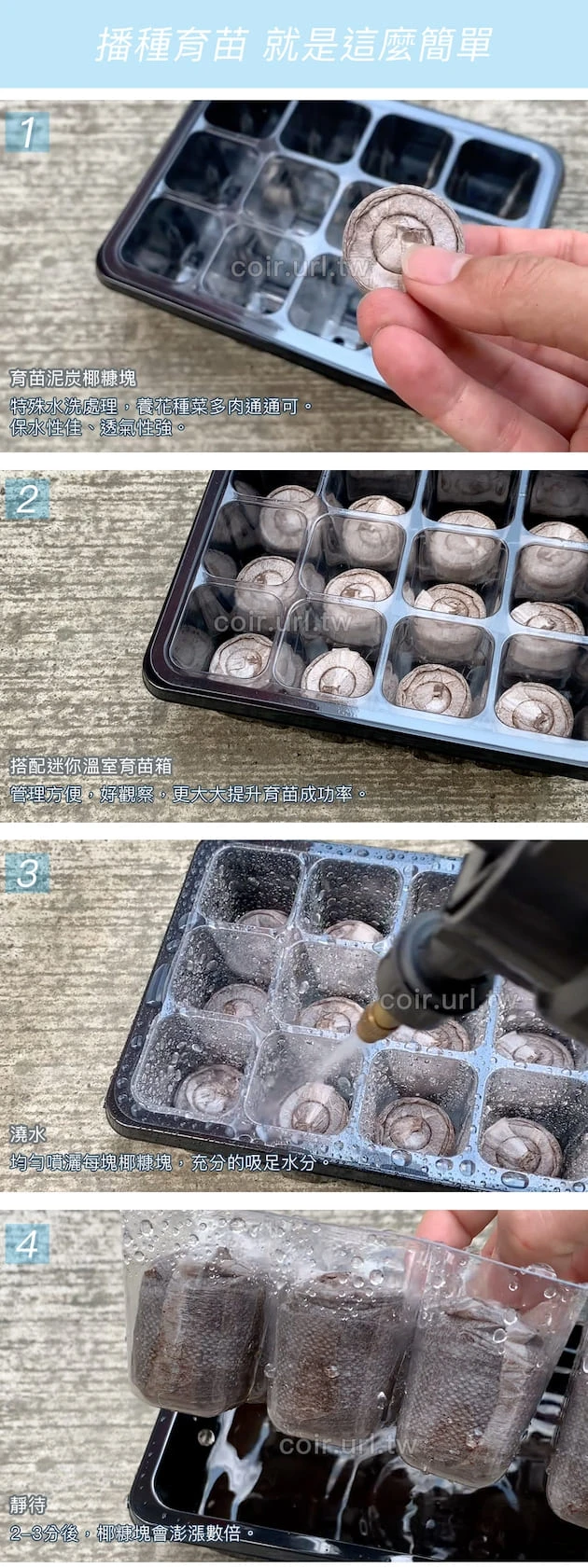 新一代12孔育苗穴盤組合（透明蓋+透明穴盤+底盤）育苗箱悶箱 商品圖片 5