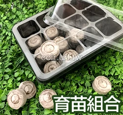 新一代12孔育苗穴盤組合（透明蓋+透明穴盤+底盤）育苗箱悶箱 商品圖片 7