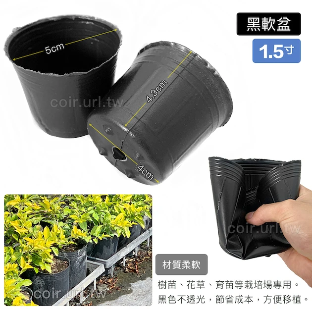 1.5寸栽培育苗軟盆D4.5xH4.5cm(黑)100個/組 商品圖片 2