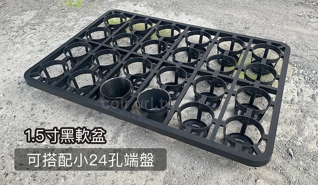 1.5寸栽培育苗軟盆D4.5xH4.5cm(黑)100個/組 商品圖片 4