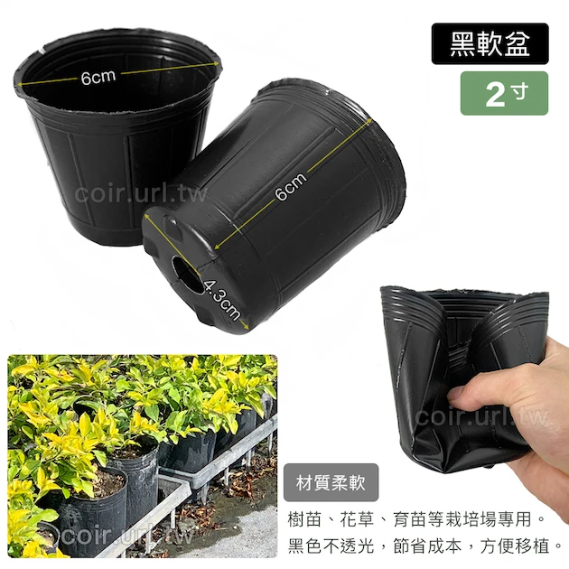 2寸栽培育苗軟盆D5.5xH6cm(黑)100個/組 商品圖片 2