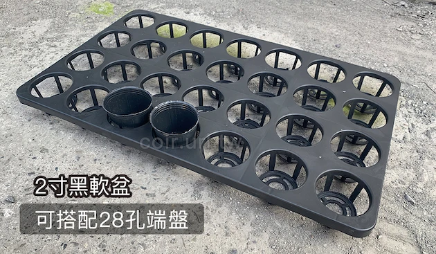 2寸栽培育苗軟盆D5.5xH6cm(黑)100個/組 商品圖片 4