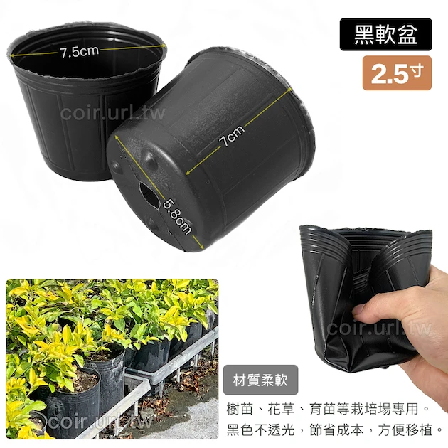 2.5寸栽培育苗軟盆D7xH7cm(黑) 商品圖片 2