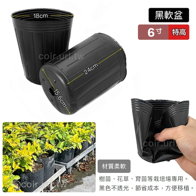 6寸黑軟盆D18cm(特高型24cm)30個/組 商品圖片 2
