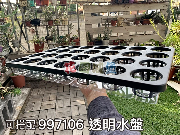 28孔端盤(適用1.5~2寸盆) 商品圖片 4