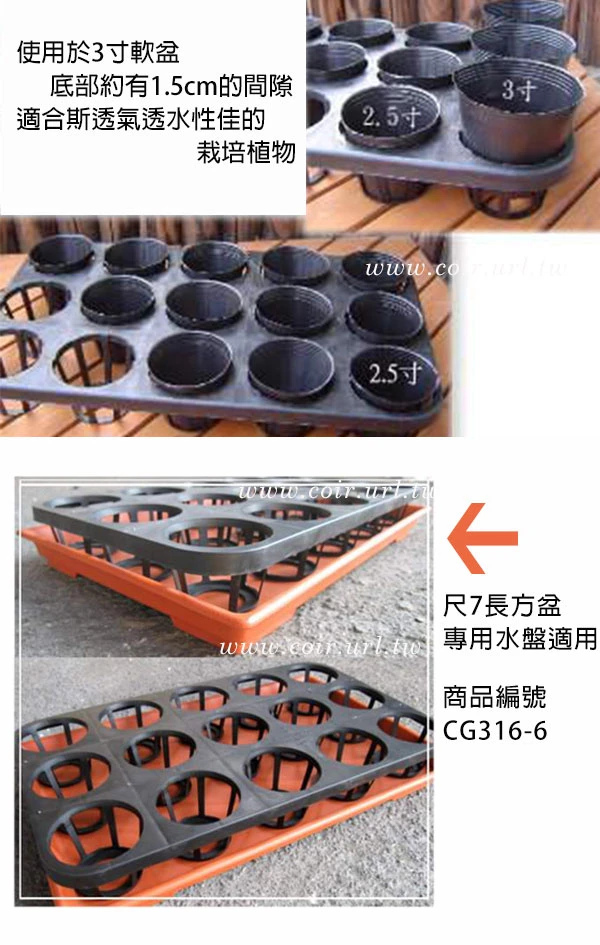 15孔端盤(適用2.5~3寸盆) 商品圖片 3