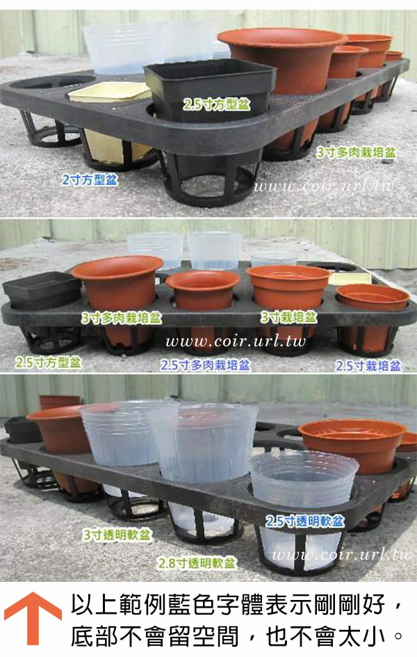 15孔端盤(適用2.5~3寸盆) 商品圖片 4