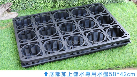 15孔大端盤(適用3.5寸盆)單個入 商品圖片 3