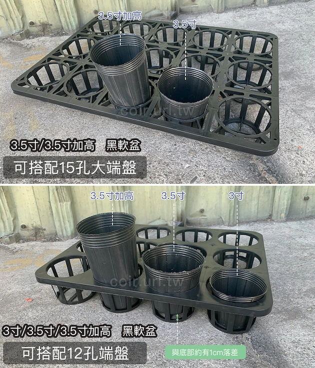 15孔大端盤(適用3.5寸盆)單個入 商品圖片 4