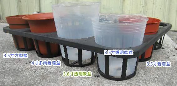 12孔端盤(適用3.5寸盆) 商品圖片 3