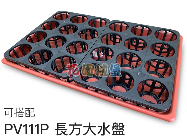 12孔端盤(適用3.5寸盆) 商品圖片 4