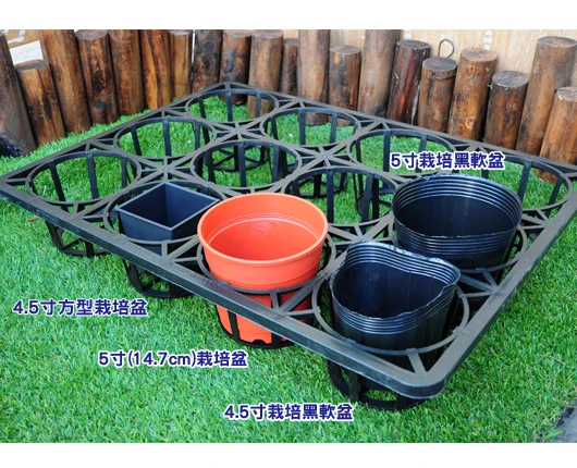 大12孔端盤-(適用5寸盆) 商品圖片 3