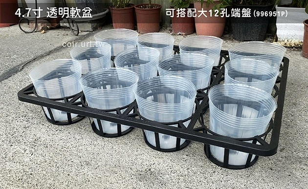 大12孔端盤-(適用5寸盆) 商品圖片 4