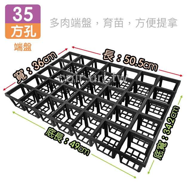 35方孔端盤 35孔整理盤花盆端盤 商品圖片 2