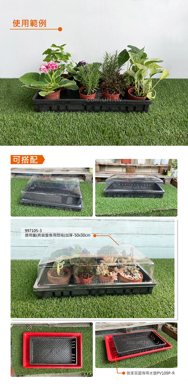 側排水孔育苗盤(種子苗.蘭花苗.蕨類.食蟲)黑色 商品圖片 3