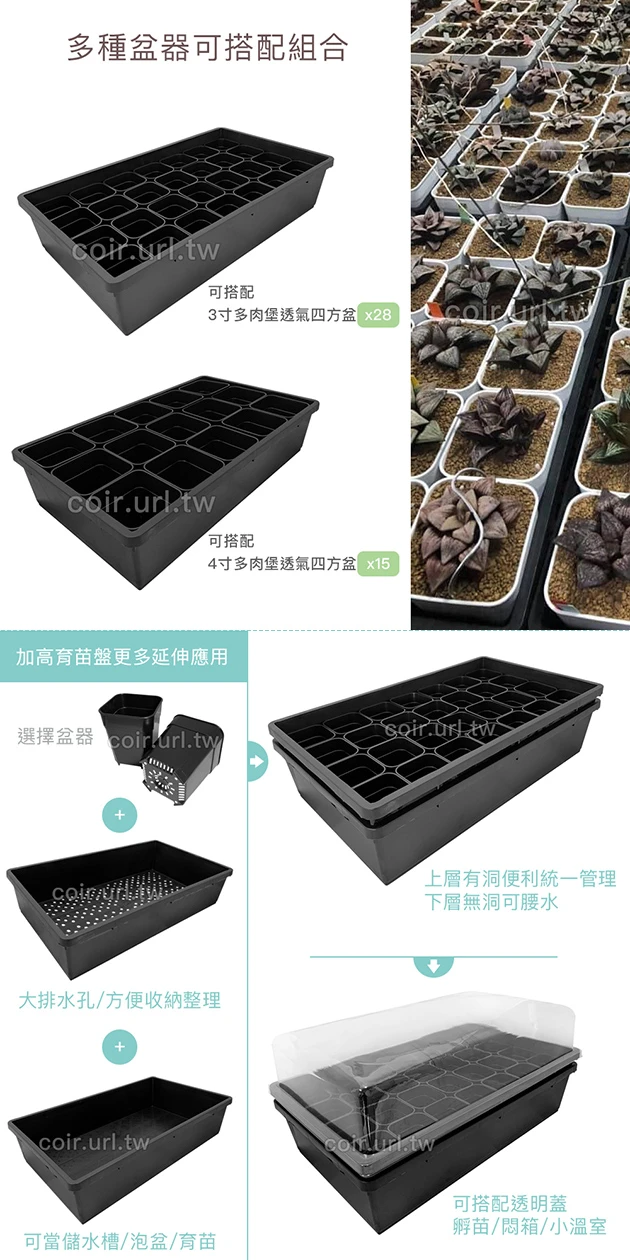 加高育苗盤(底部大排水)黑色-單入 花盆端盤整理盤 商品圖片 3