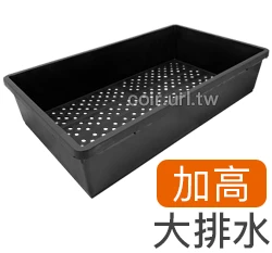 加高育苗盤(底部大排水)黑色-單入 花盆端盤整理盤 商品圖片 4
