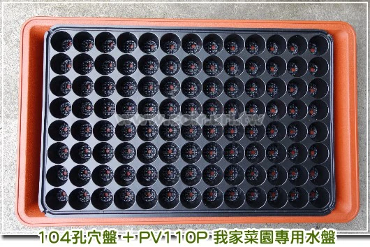40mm圓孔育苗穴盤104孔 商品圖片 4
