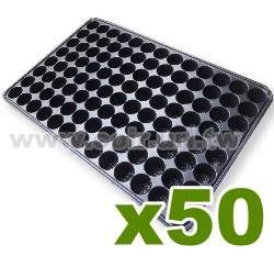 40mm圓孔育苗穴盤104孔 商品圖片 5