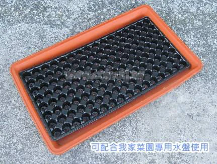 圓孔育苗穴盤128孔 商品圖片 3