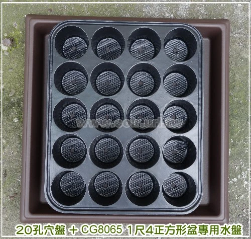 圓孔育苗穴盤20孔(加厚) 商品圖片 3