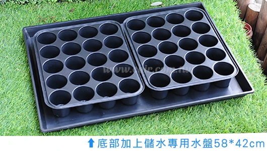 圓孔育苗穴盤20孔(加厚) 商品圖片 4