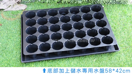 7cm大圓孔育苗穴盤35孔 商品圖片 3
