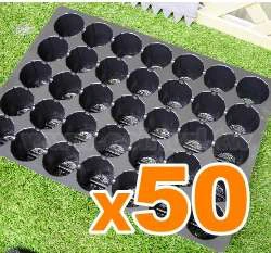 7cm大圓孔育苗穴盤35孔 商品圖片 4