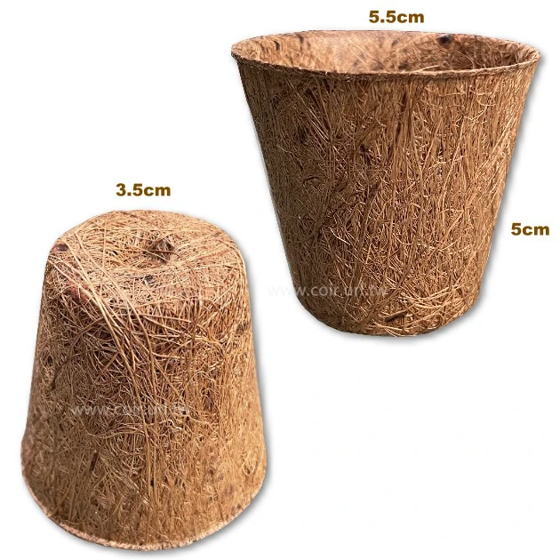 5.5cm環保椰纖花盆 ECO-FRIENDLY COCONUT FIBER POT 商品圖片 2