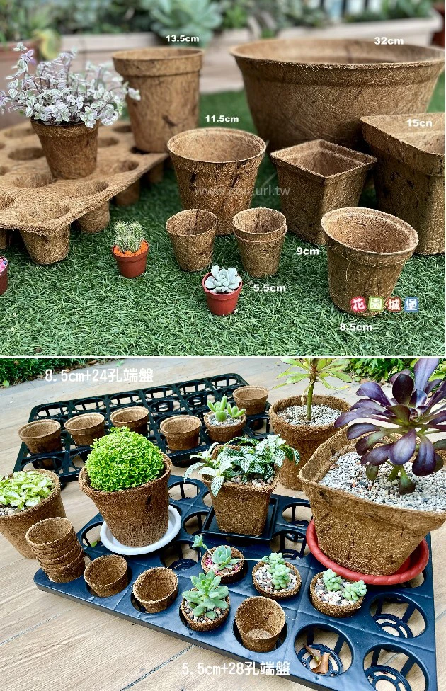 5.5cm環保椰纖花盆 ECO-FRIENDLY COCONUT FIBER POT 商品圖片 4