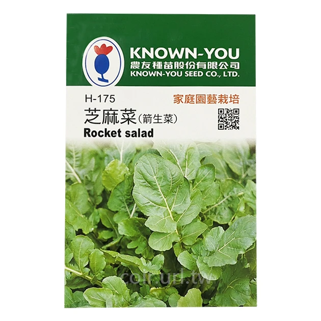 箭生菜商品圖片 2