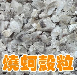 地根旺燒蚵殼粒(大粒)(牡蠣殼粒) 商品圖片 5