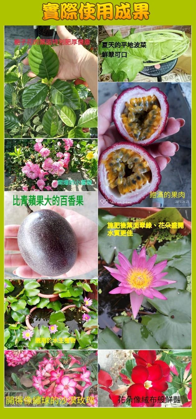 花多利牌百花肥-C有機質肥料(5.5-1.5-3-80) 商品圖片 4