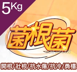 菌專家-菌根菌Mycorrhizal Fungi 商品圖片 5