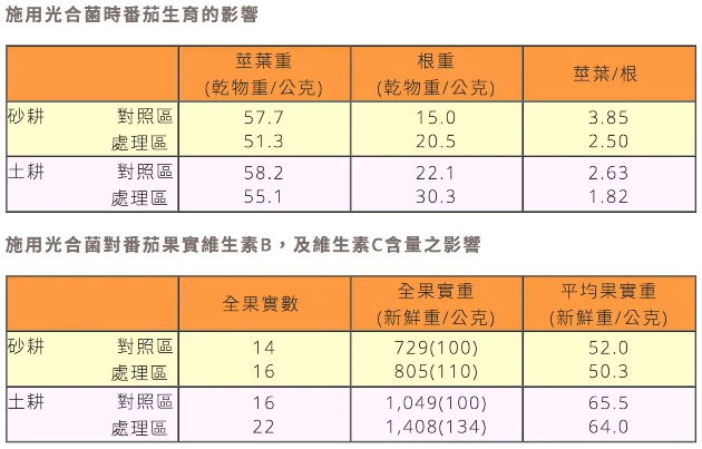 日日艷(天然光合菌群)天然著果劑 商品圖片 3
