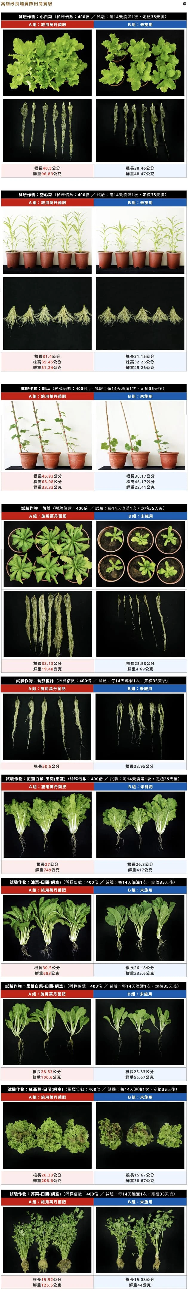 萬丹菌肥 (貝萊斯芽孢桿菌)溶磷菌 商品圖片 4