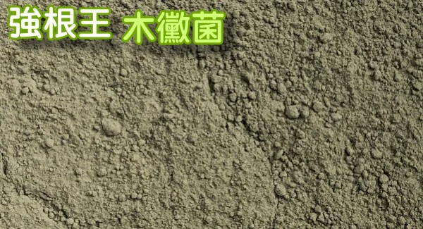 根泰旺300公克 木黴菌TCT568 商品圖片 3