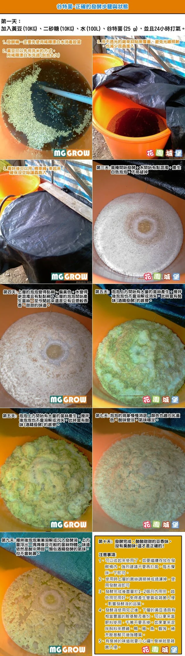 谷特菌(新蔡18菌)放線菌種 商品圖片 3