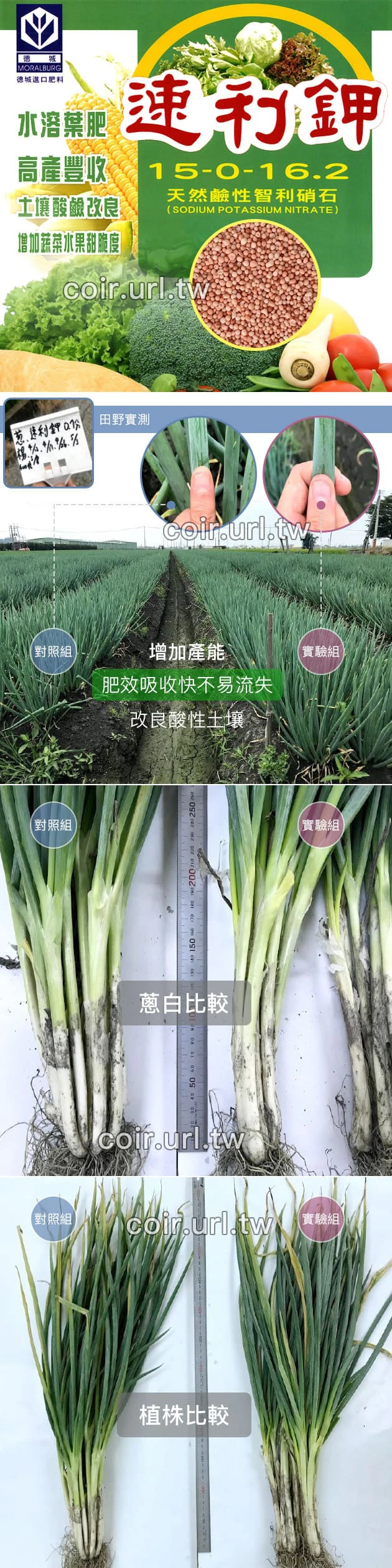德城速利鉀（15-0-16.2）天然智利硝石硝酸鉀肥料 商品圖片 2