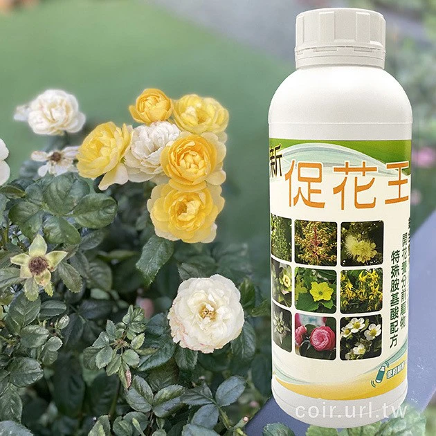 新促花王 (累積開花前驅物、促進花苞開花肥) 商品圖片 3
