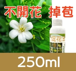 新促花王 (累積開花前驅物、促進花苞開花肥) 商品圖片 4