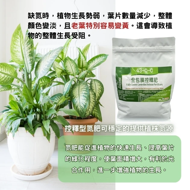 控釋尿素氮肥 43-0-0 緩效氮肥 商品圖片 3