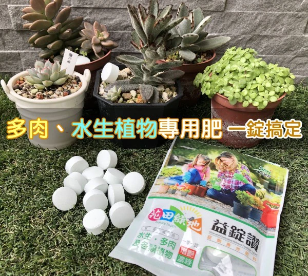 益錠讚錠劑長效肥料(21-7-14+1.2Mgo)水生蓮花肥多肉專用錠狀肥料100公克/包 商品圖片 4