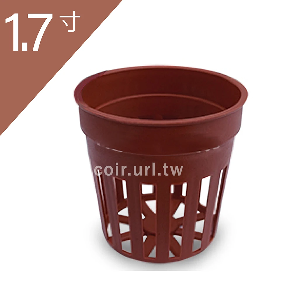 1.7寸(5.2cm)水草栽培盆(泰明) 商品圖片 3